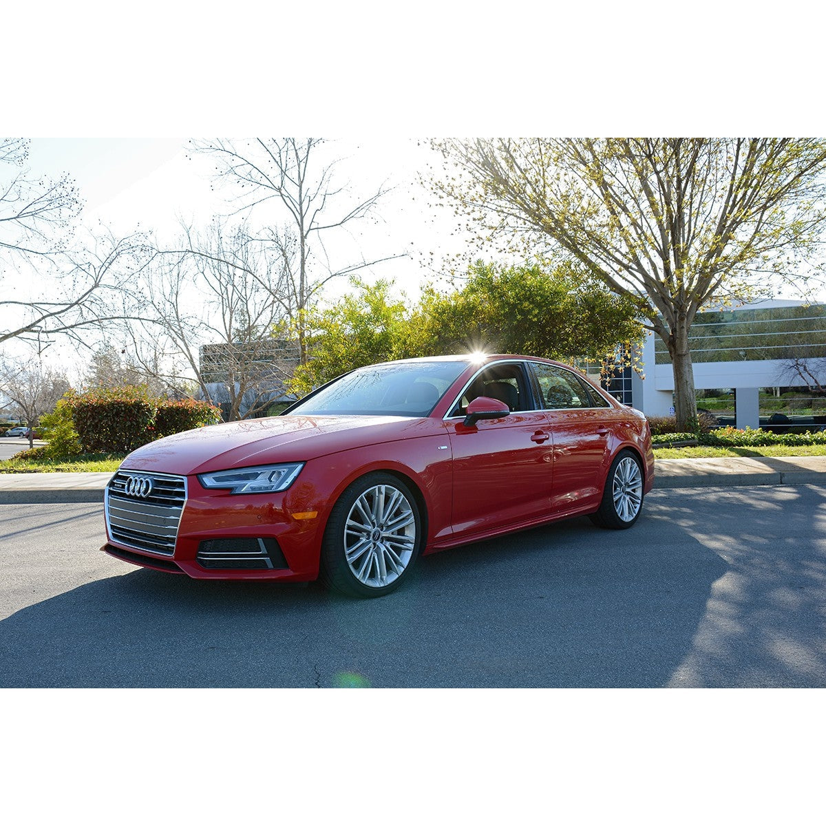034 Motorsport Dynamic+ Lowering Springs, B9 Audi A4/Allroad - T1 Motorsports