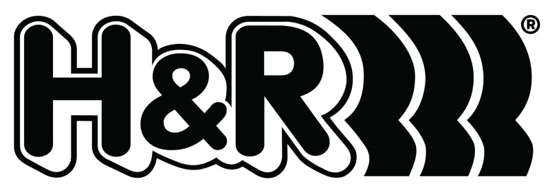 H&R Race Springs - 2008-2013 BMW M3 Coupe/M3 Sedan E92 - STREETUNED