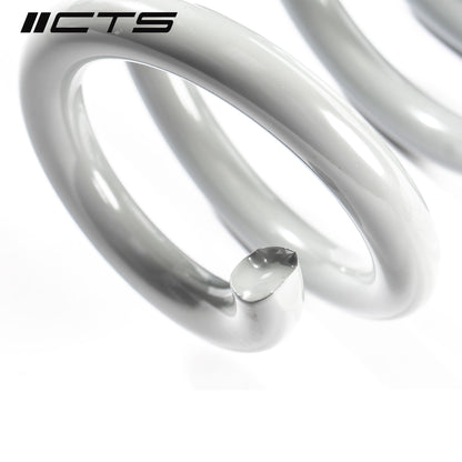 CTS Turbo Lowering Springs - 2017-2024 Audi B9/9.5 A4/S4/A5/S5/Allroad - STREETUNED